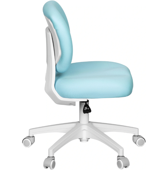 Cactus CS-CHR-3594