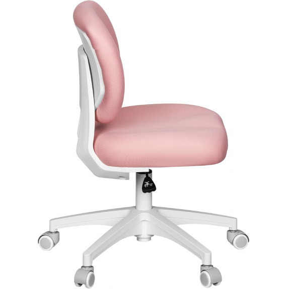 Cactus CS-CHR-3594
