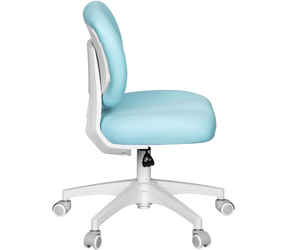 Cactus CS-CHR-3594