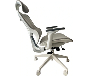 Cactus CS-CHR-MC02GY