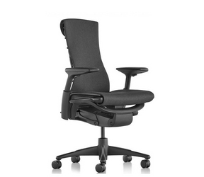 Herman Miller Embody